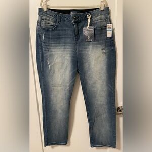 NWT Democracy Stretch Denim “Ab”solution Straight Leg Plus Jeans, Size 20W